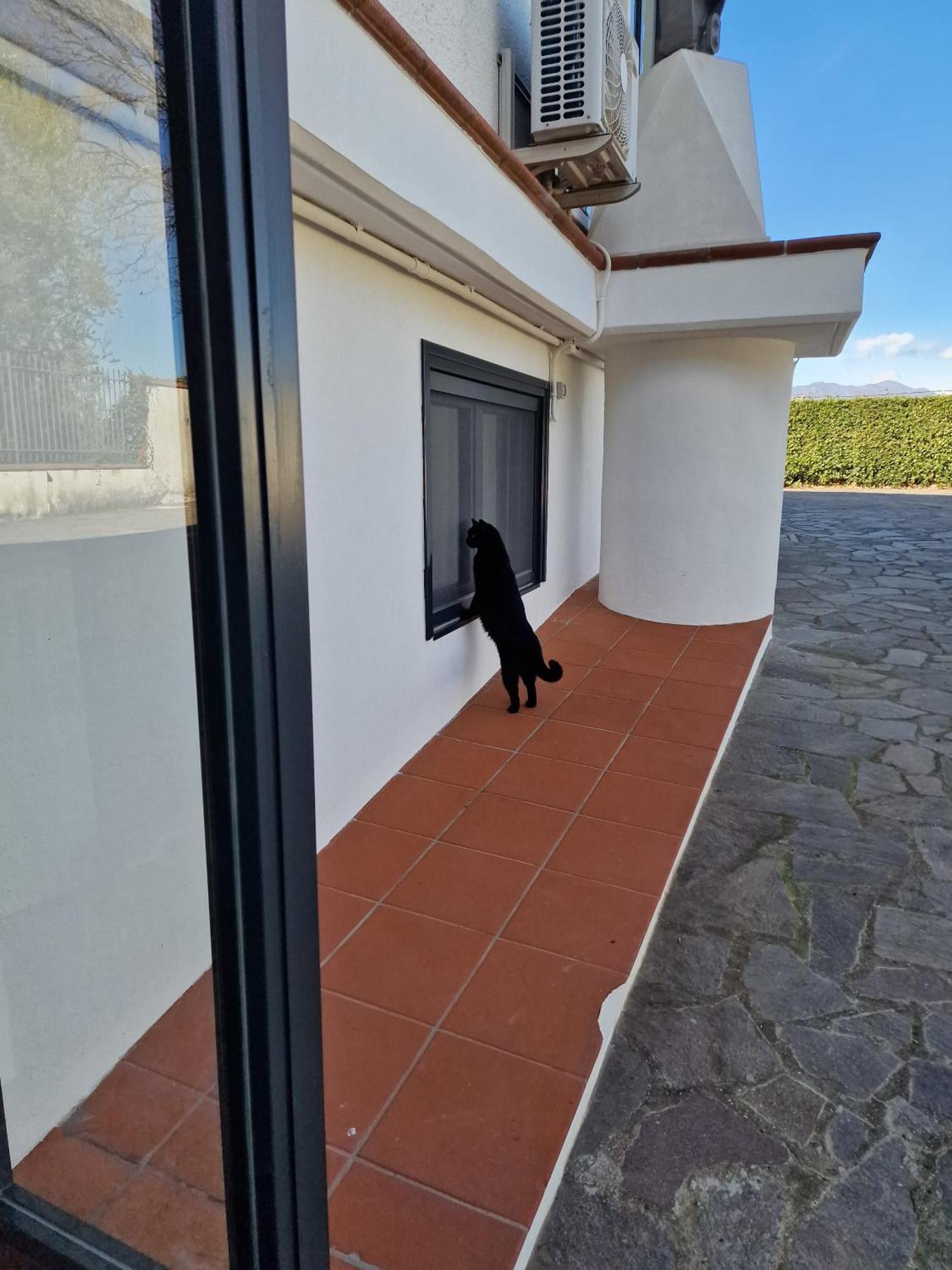 Villa Mandetta B&B Santo Stefano del Sole Bagian luar foto